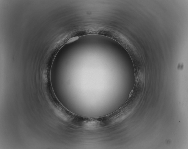 X0000097480452200802221356