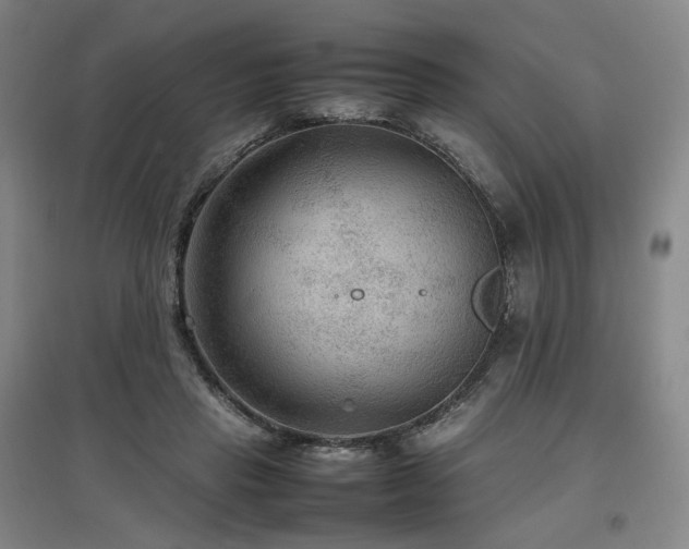 X0000097480453200802221356