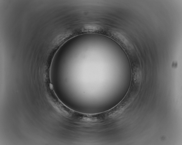 X0000097480455200802221356