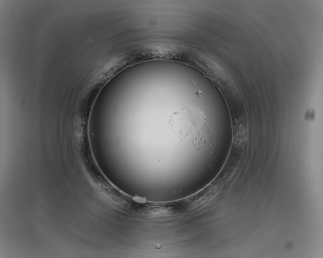 X0000097480456200802221356