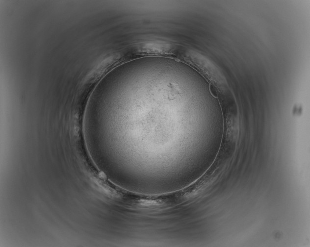 X0000097480457200802221356