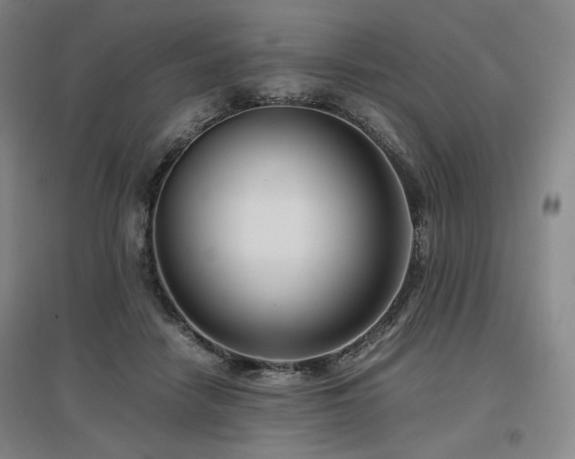 X0000097480458200802221356
