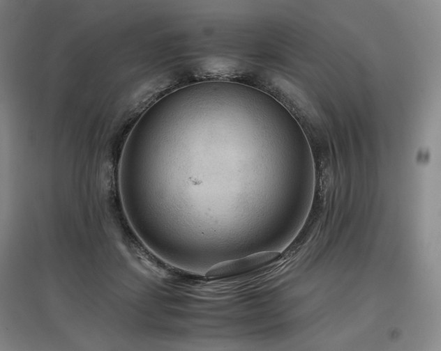 X0000097480459200802221356