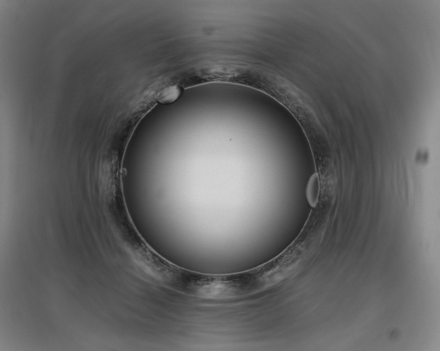 X0000097480460200802221356