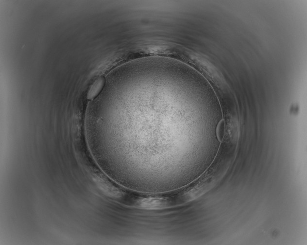 X0000097480461200802221356