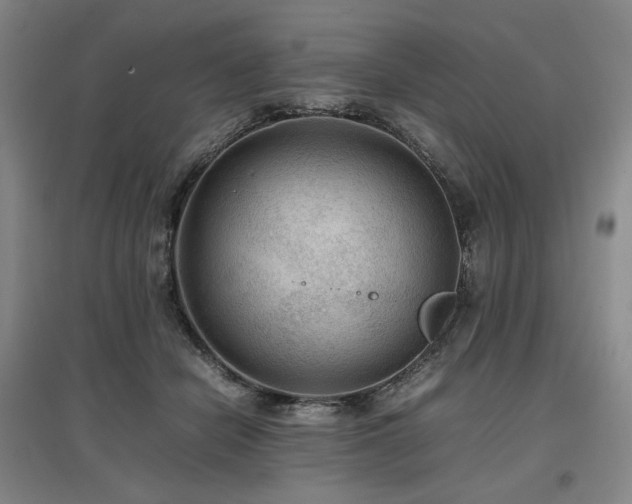 X0000097480462200802221356