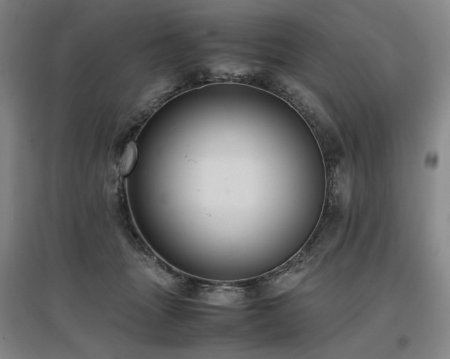 X0000097480463200802221356