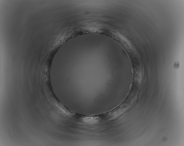 X0000097480465200802221356