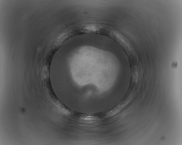 X0000097480467200802221356
