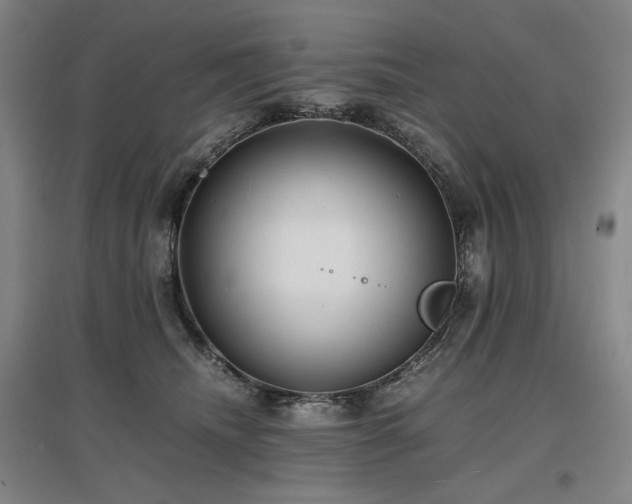 X0000097480468200802221356