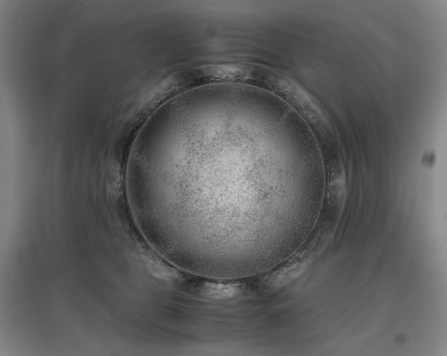X0000097480469200802221356