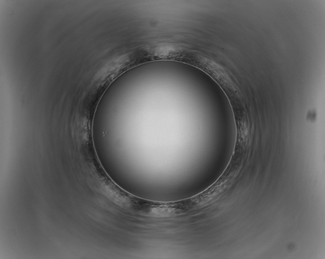 X0000097480470200802221356