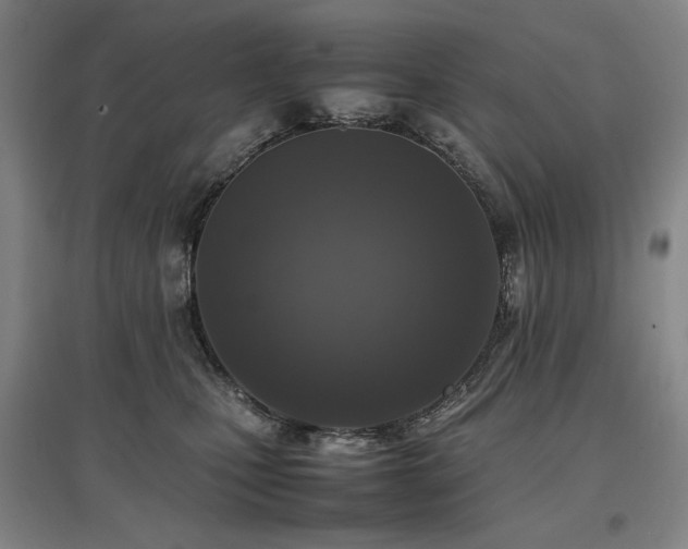 X0000097480471200802221356