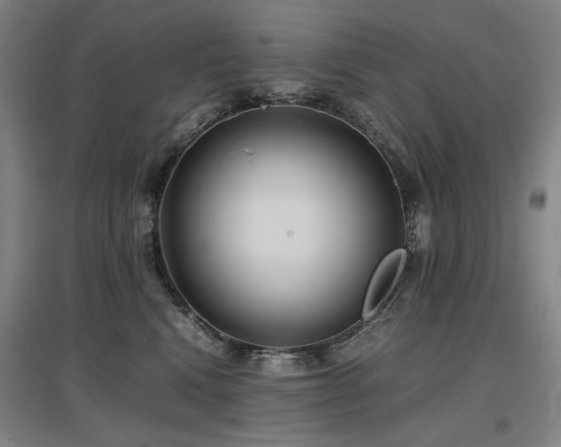 X0000097480472200802221356