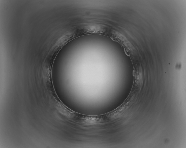 X0000097480473200802221356