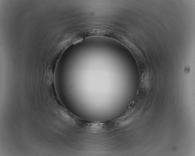 X0000097480474200802221356