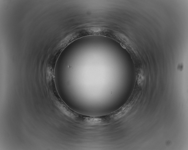 X0000097480476200802221356
