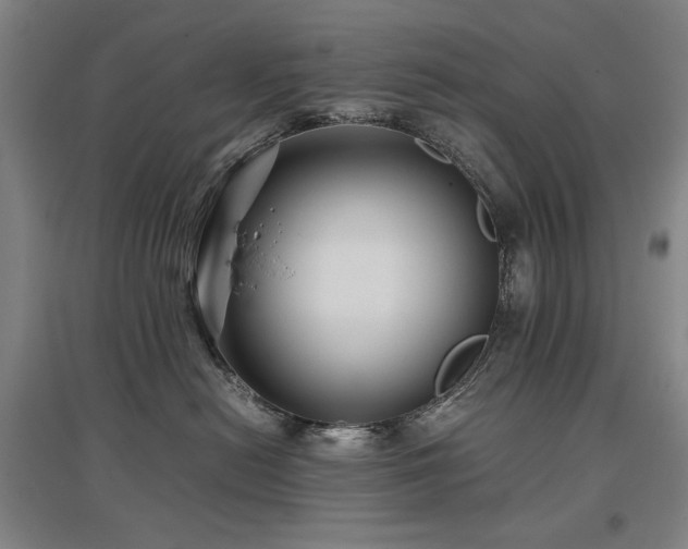 X0000097480478200802221356