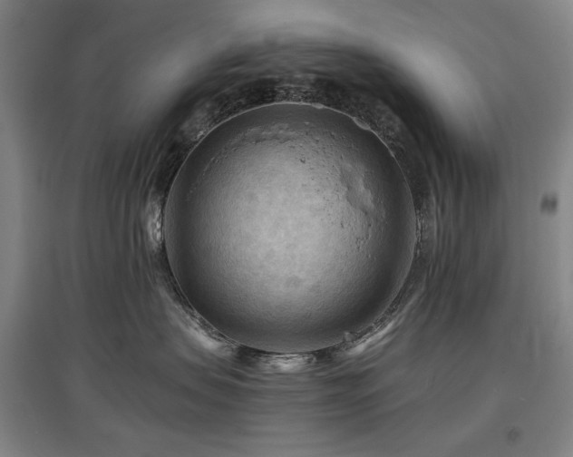 X0000097480479200802221356