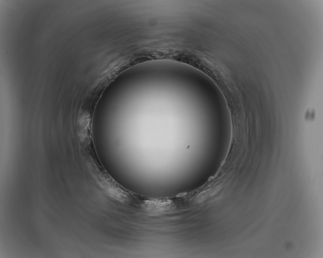 X0000097480480200802221356