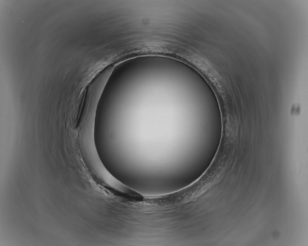 X0000097480481200802221355