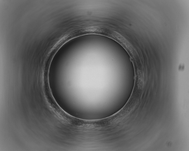 X0000097480482200802221355