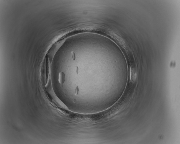 X0000097480483200802221355