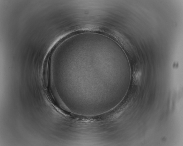 X0000097480484200802221355