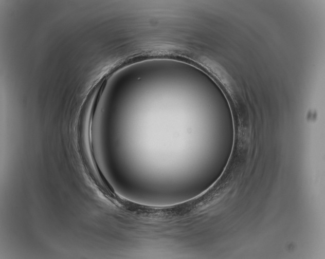 X0000097480485200802221355