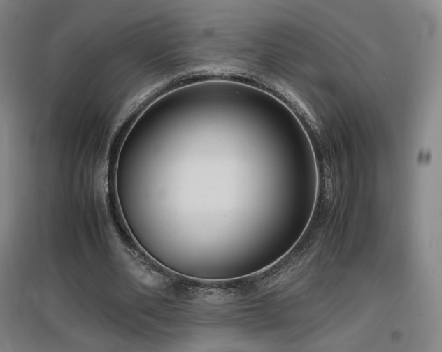 X0000097480486200802221355