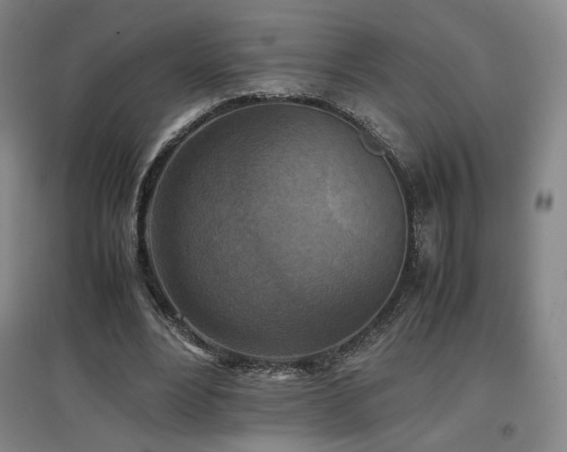 X0000097480488200802221355