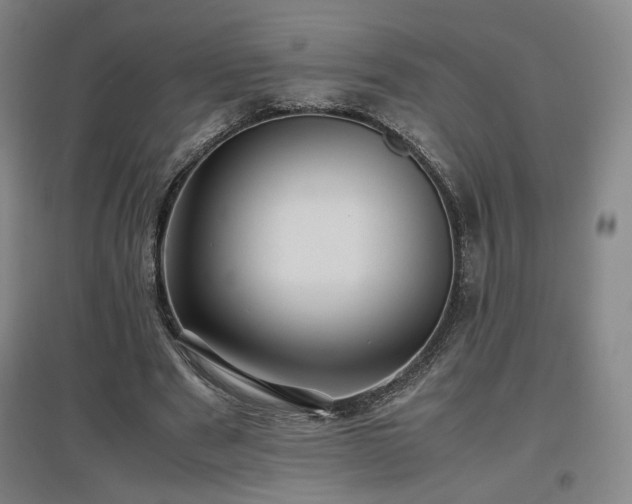 X0000097480489200802221355