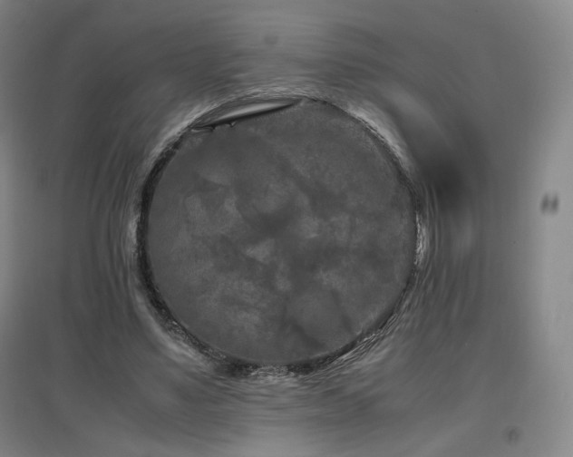 X0000097480491200802221355