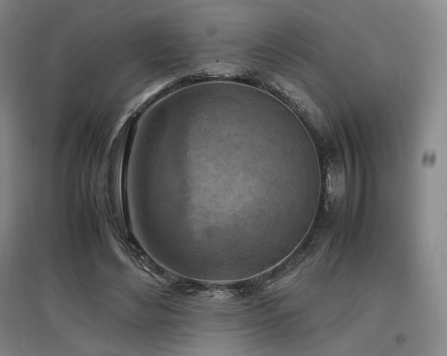 X0000097480492200802221355