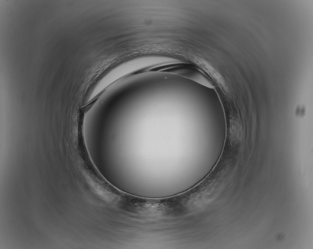X0000097480493200802221355