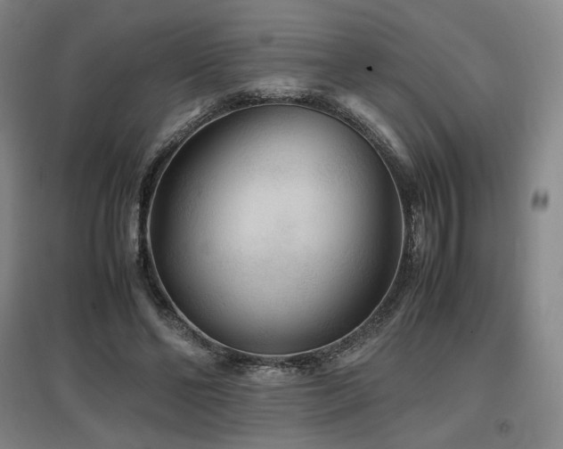 X0000097480494200802221355