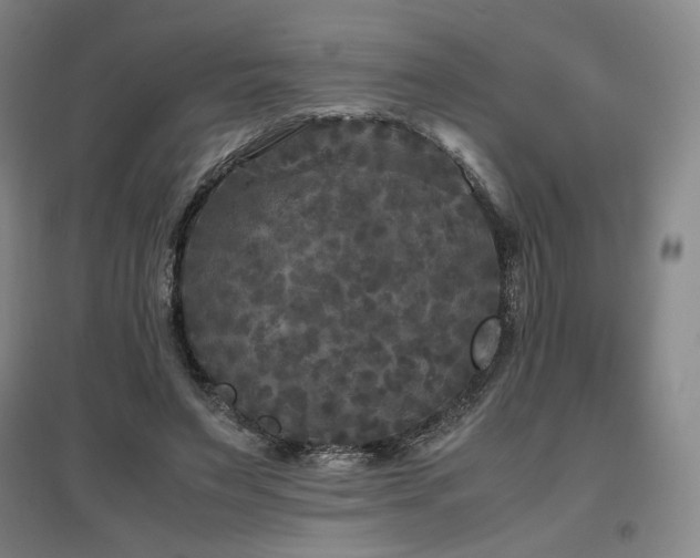 X0000097480495200802221355