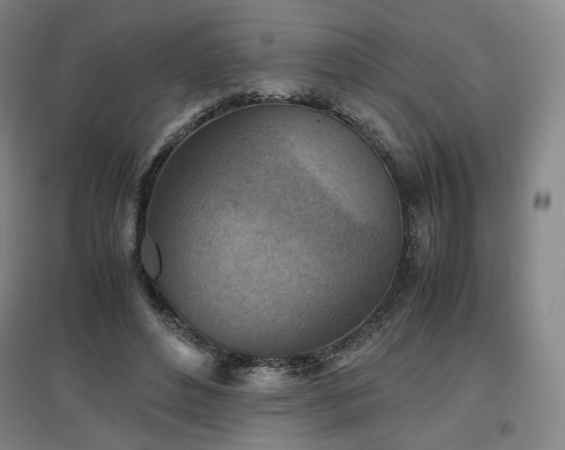 X0000097480496200802221355