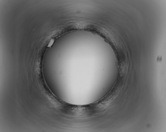 X0000097480497200802221355