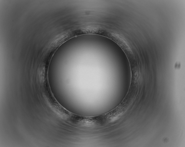 X0000097480498200802221355