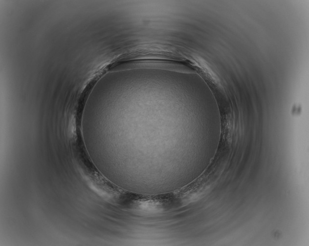 X0000097480500200802221355