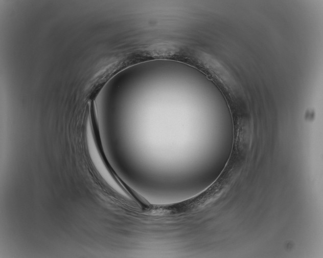 X0000097480501200802221355