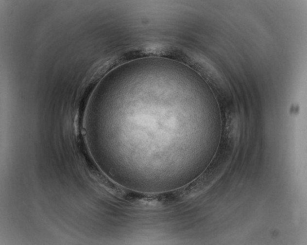 X0000097480502200802221355