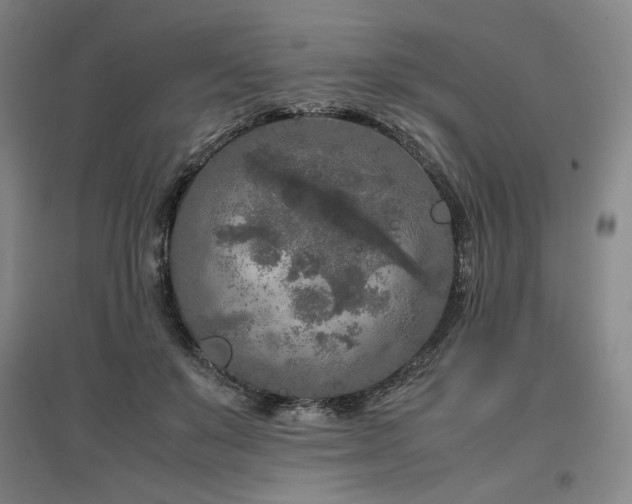 X0000097480503200802221355