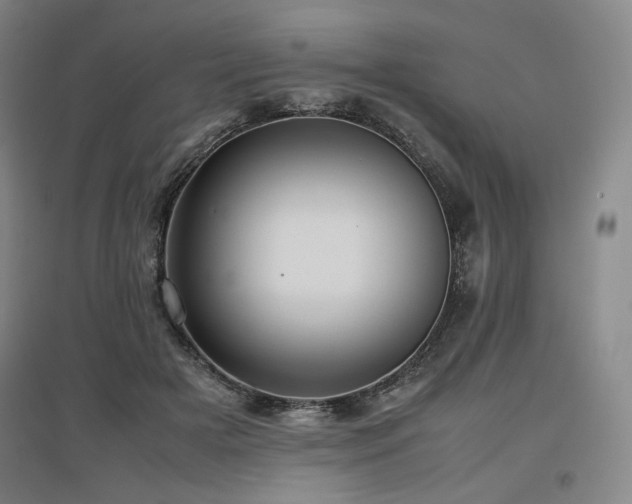 X0000097480505200802221355