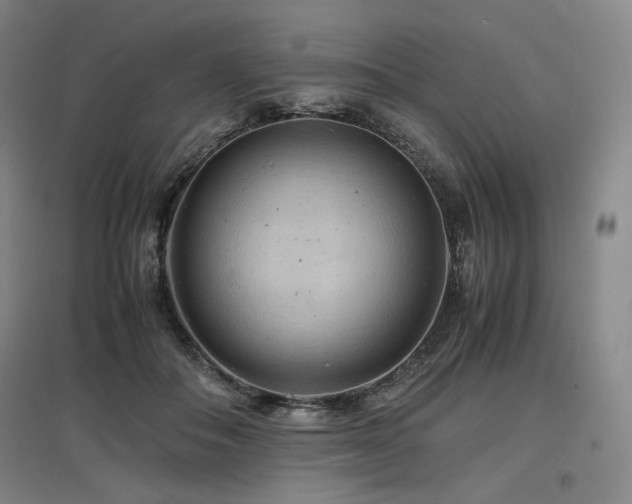 X0000097480506200802221355