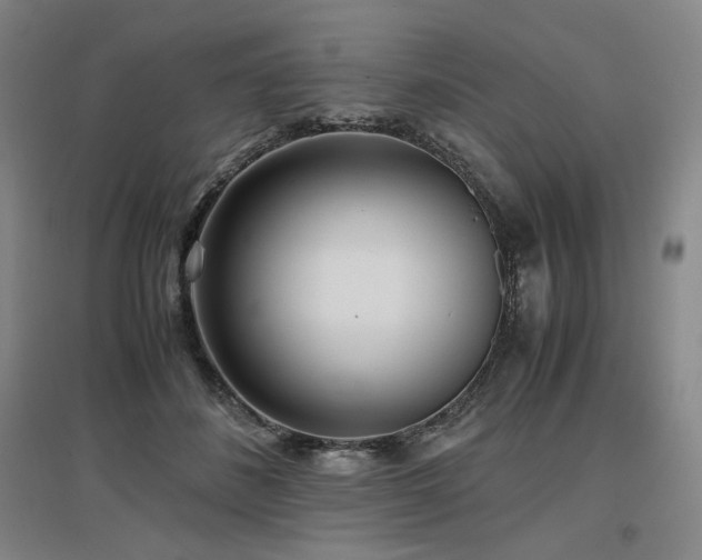 X0000097480508200802221355