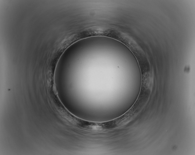 X0000097480509200802221355
