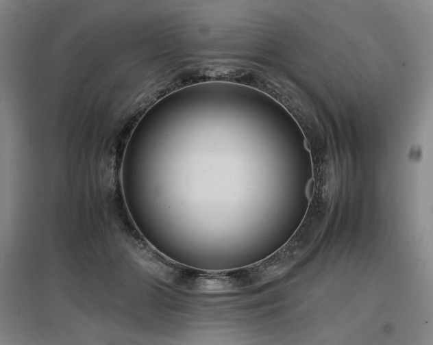X0000097480510200802221355