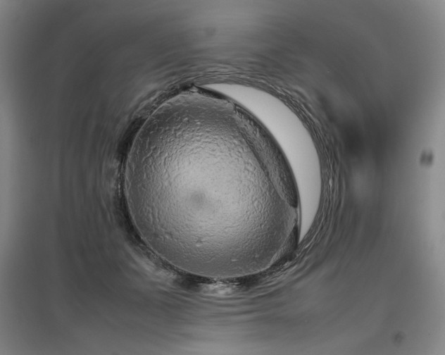 X0000097480511200802221355
